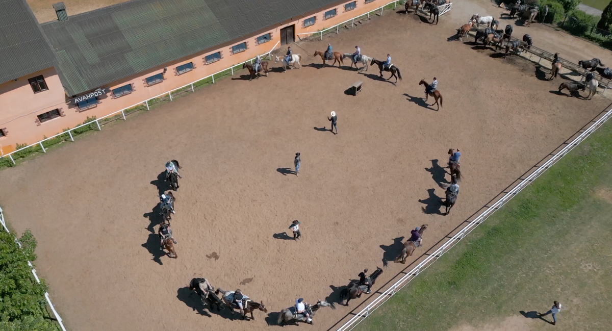 командная верховая езда для сплочения коллектива и получения новых положительных эмоций