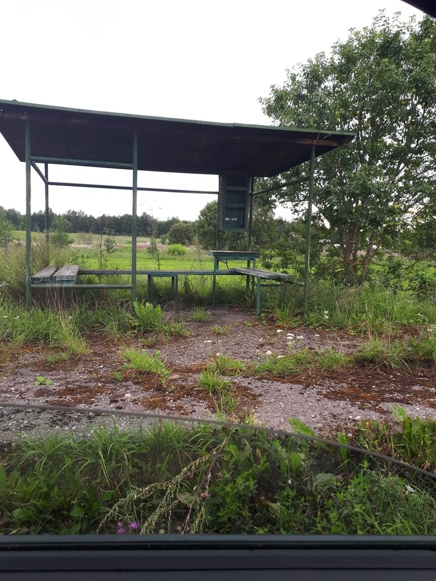 Новгородская обл. батецкий р-н, Борки