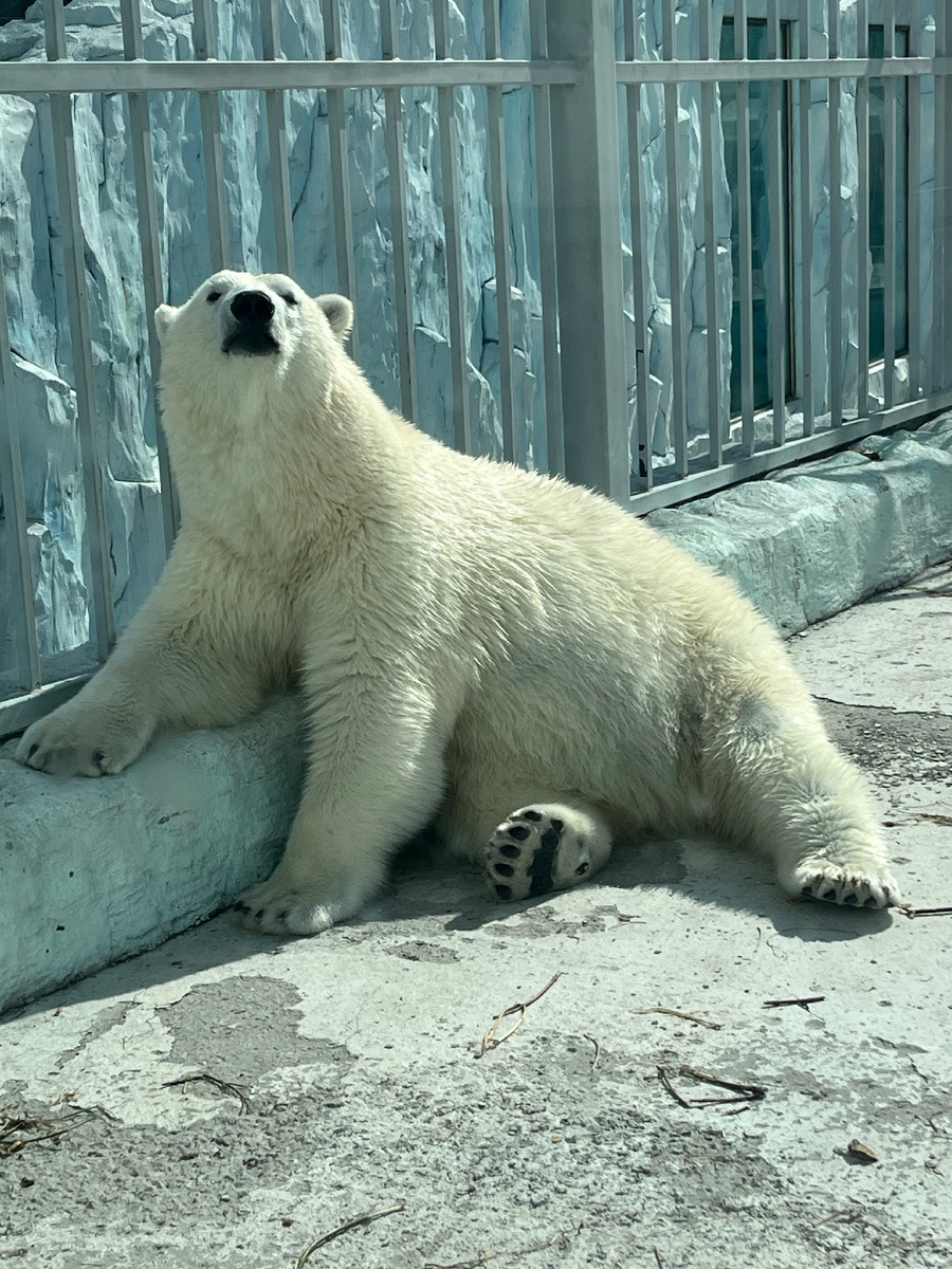 Фото автора ) 