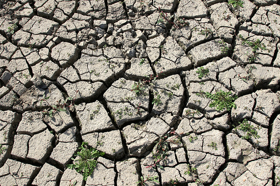 Фото: Алексей Павлишак/ТАСС 