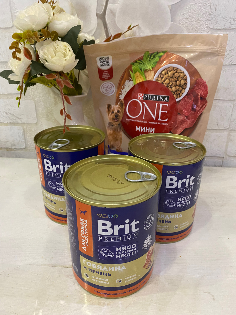 Всё как обычно