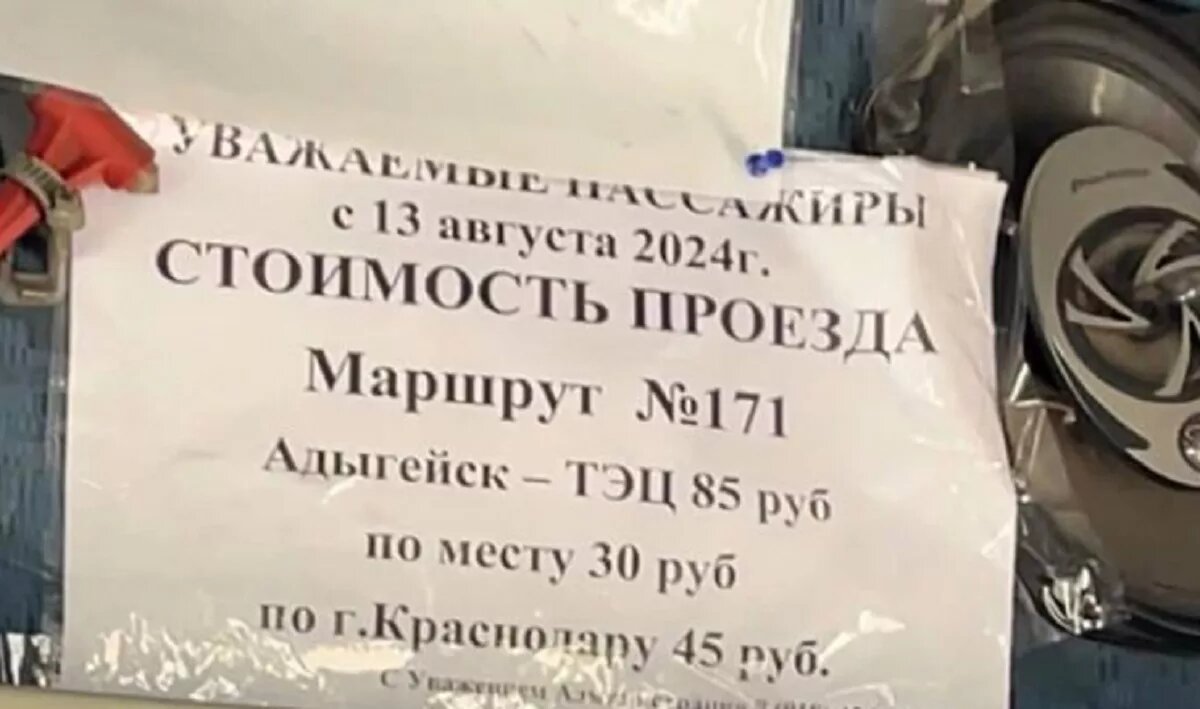Фото: пассажирка маршрута №171 "Адыгейск - ТЭЦ Краснодар" 