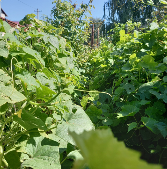 Как будто бы и не август на дворе...