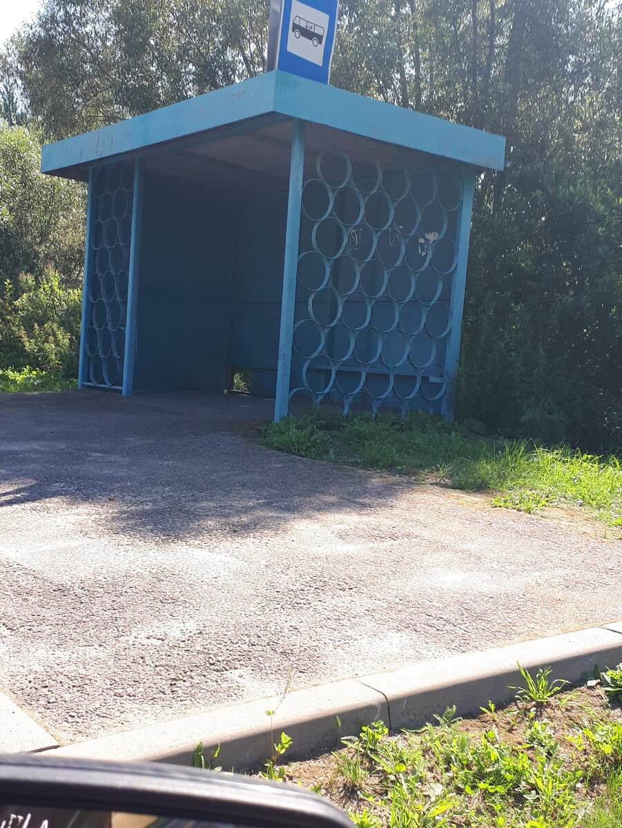 Новгородская обл. 356 км дорога на старую руссу, поворот на малую витонь