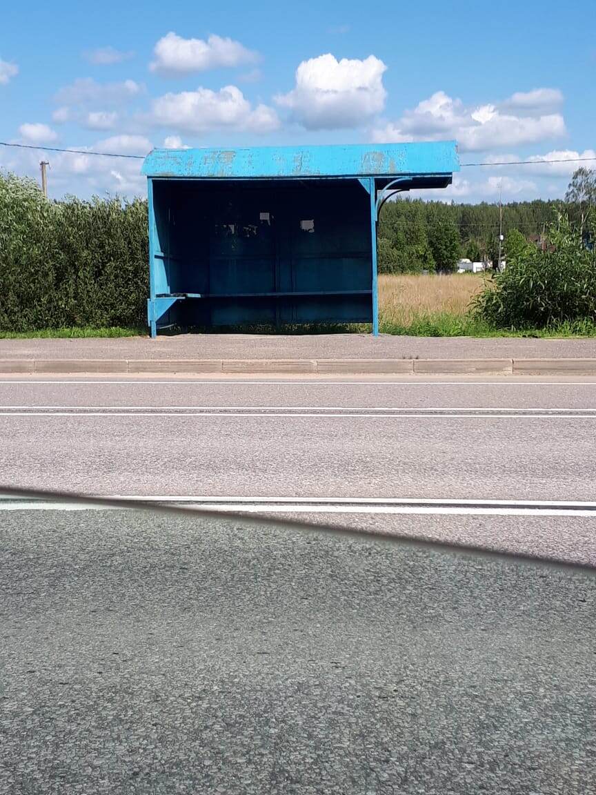 Новгородская обл. 365 км дорога на старую руссу