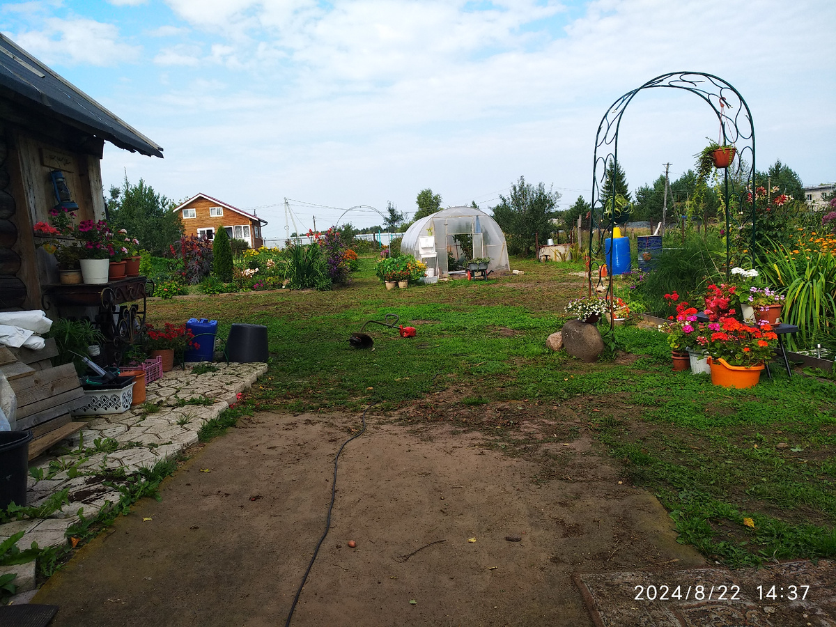 вид на участок с крыльца