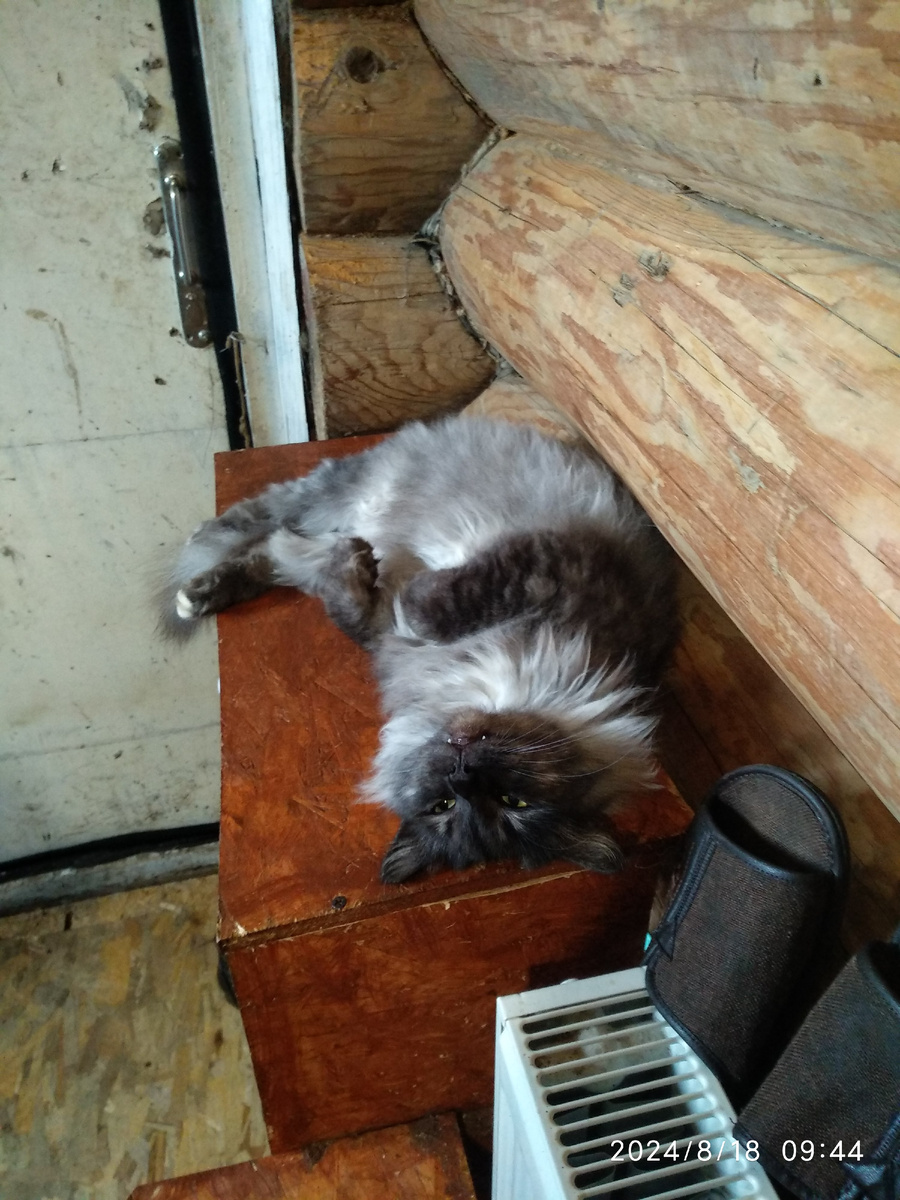 Ну и сплю дома и что? Зачем мне эти гулянки...))))) Макс