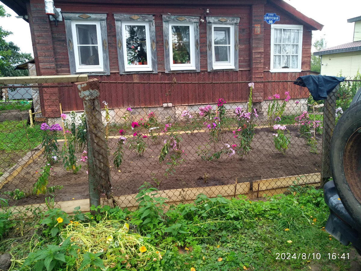 фотоальбом - листаем
Клумба с флоксами у дома