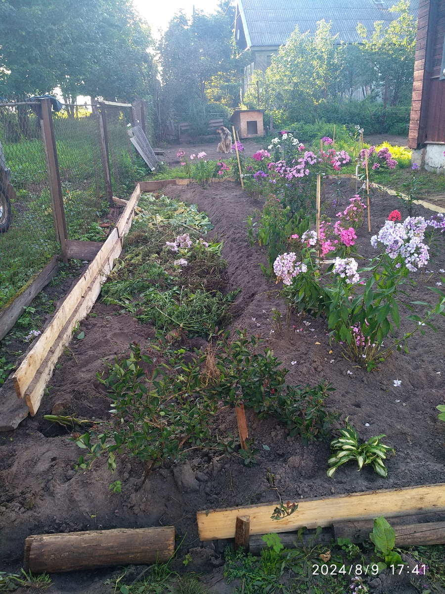 поскольку у самого забора было очень низко, да я ещё и землю выбрала оттуда, то я вниз накидала слой гнилушек (досок, палок) сверху присыпала землёй, потом ещё слой травы наложила. 