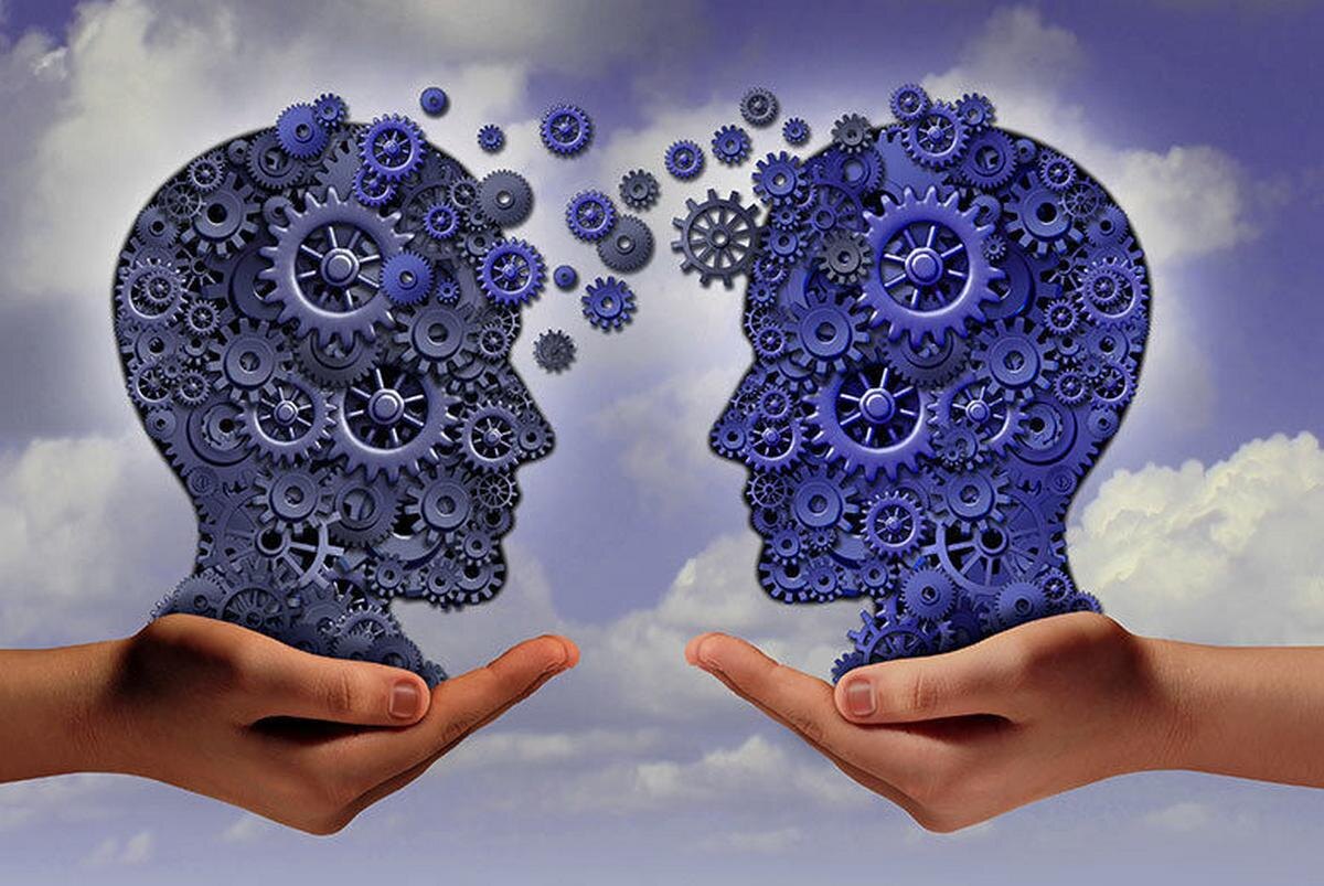 Фото из сети