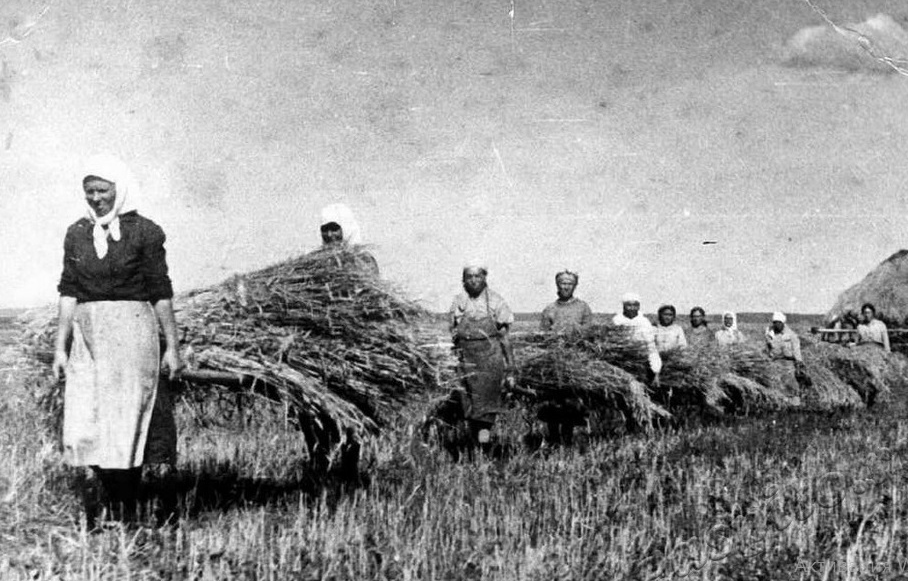 Сбор урожая в поле