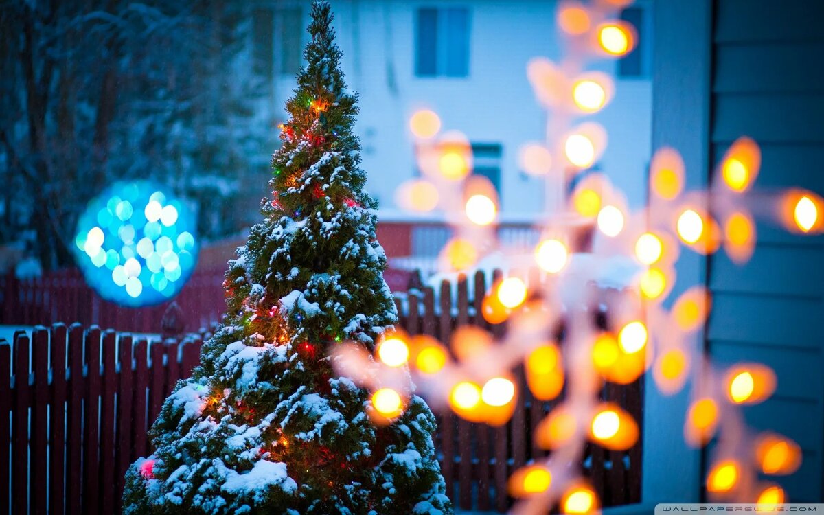 Из открытого доступа