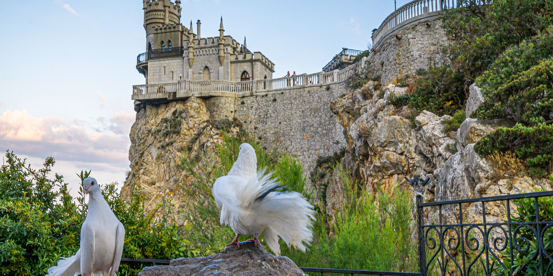 Крым. «Ласточкино гнездо» - самая известная достопримечательность полуострова и его история в лицах.