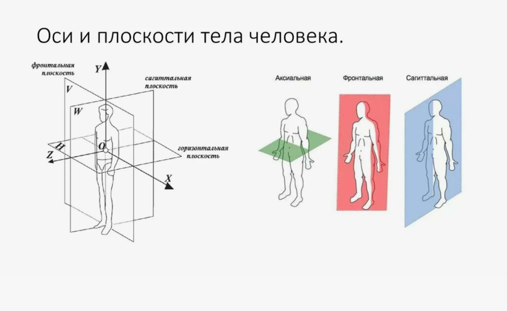 Схема осей и плоскостей в теле человека https://fruitnice.ru/11-foto/shema-osej-i-ploskostej-v-tele-cheloveka.html