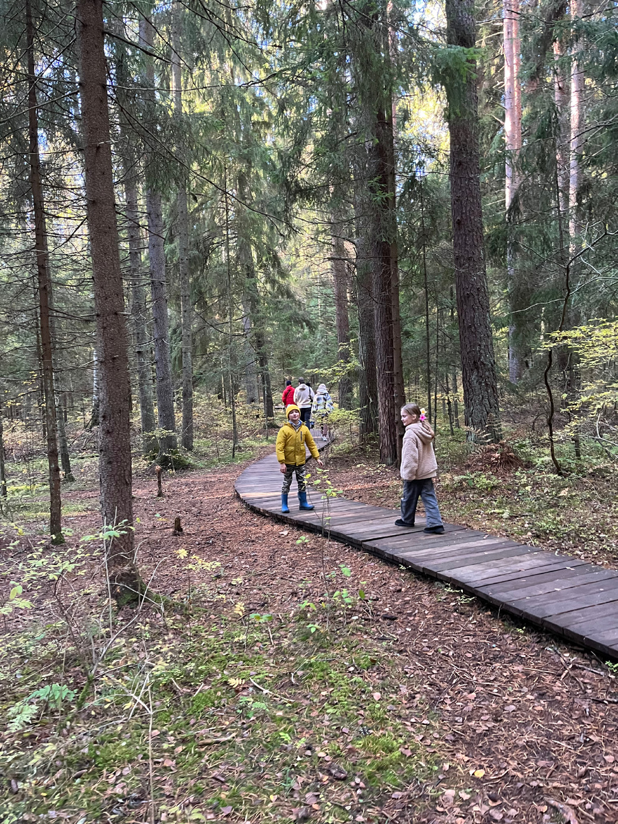 Экотропа в Комарово