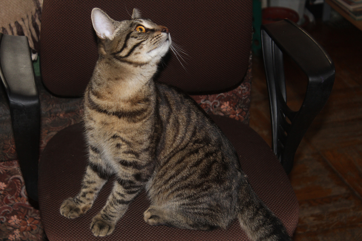 Что-то, видно, себе присмотрел)))