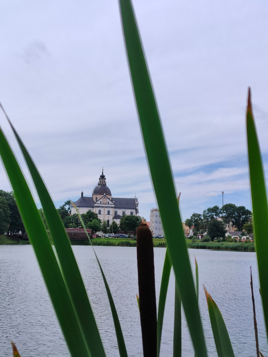 Вид на Храм Божьего Тела со стороны пруда. Фото автора.