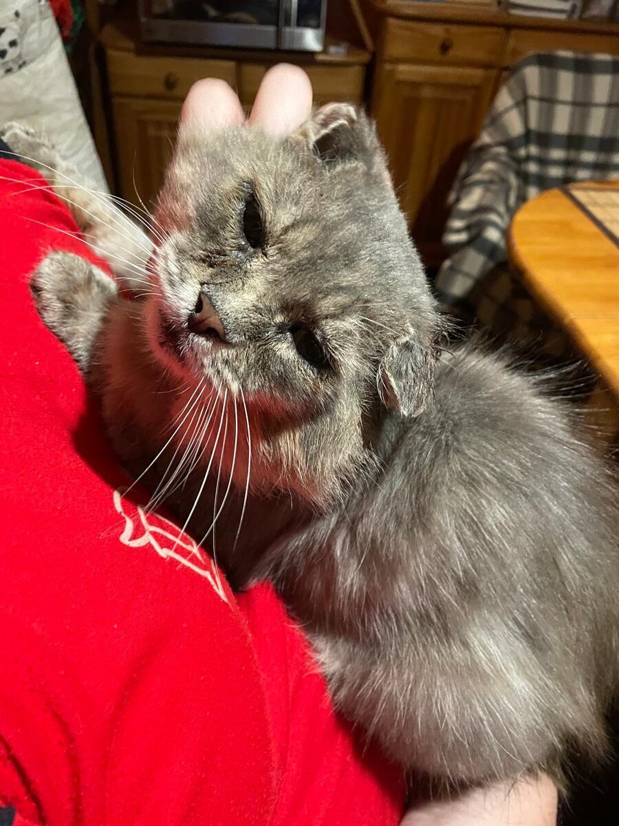 Уставший Филя.