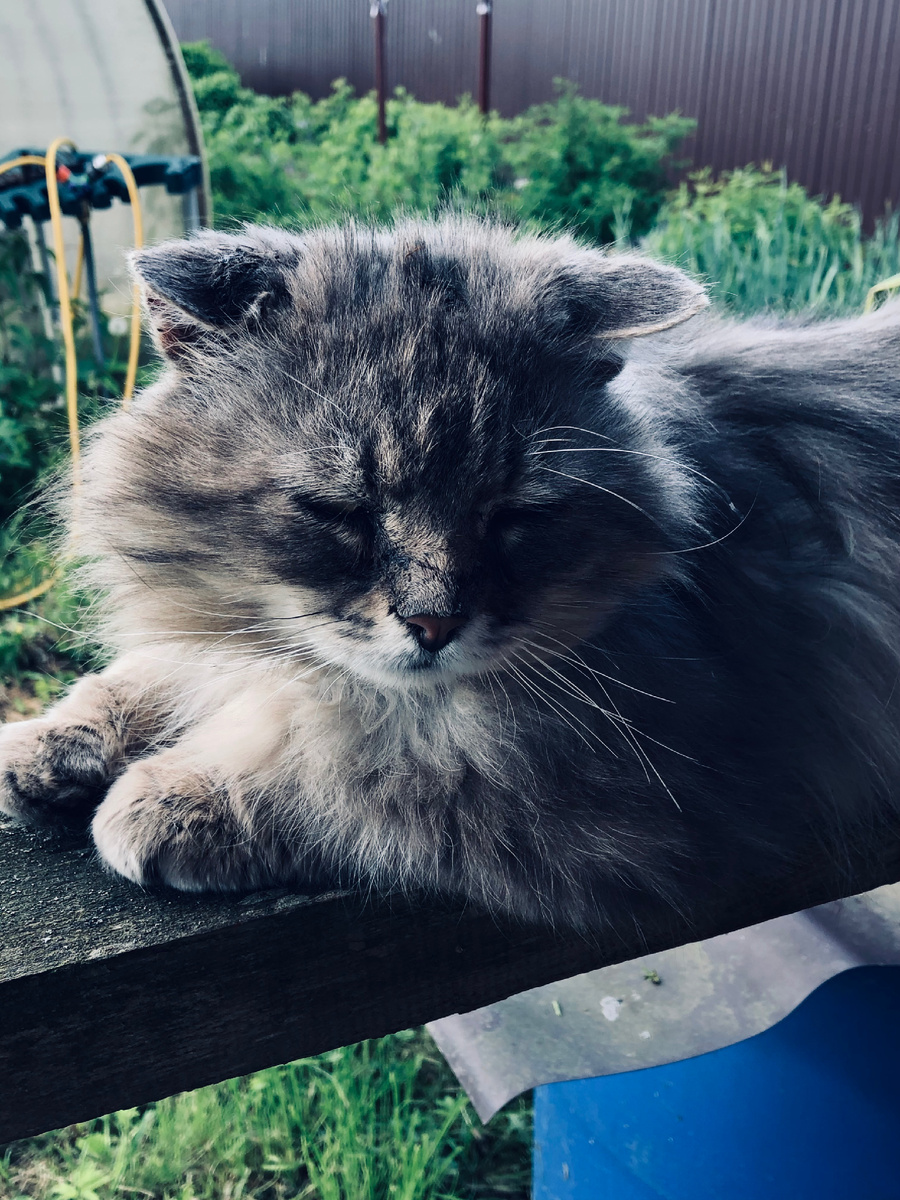 Ну-ка, быстро рассказали, что вы там задумали! Везде фото автора.