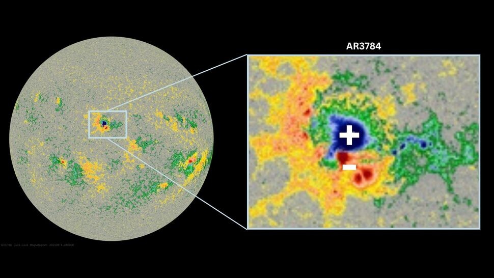 Изображение Солнца, полученное с помощью магнитограммного прибора SDO HMI NASA, демонстрирует положительные поля зелёного и синего цвета, а отрицательные — жёлтого и красного. Источник: Обсерватория солнечной динамики NASA, магнитограмма SDO/HMI, Daisy Dobrijevic  📷
