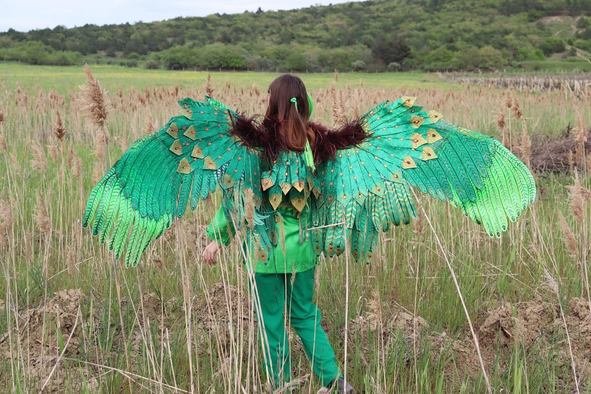 Ориби Каммпирр - Ориби Каммпирр - Мир моей музы (синопсис). Крил © Copyright: Ориби Каммпирр