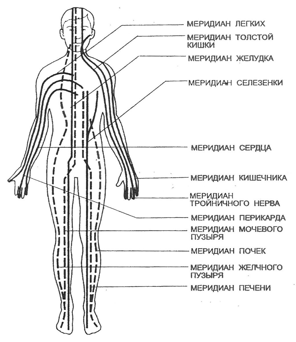 Меридианы в Традиционной Китайской Медицине