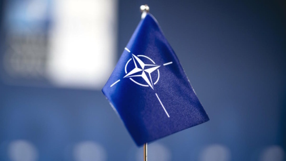    Военный комитет НАТО в сентябре соберется в Праге для обсуждения помощи Украине Богдан Герцен