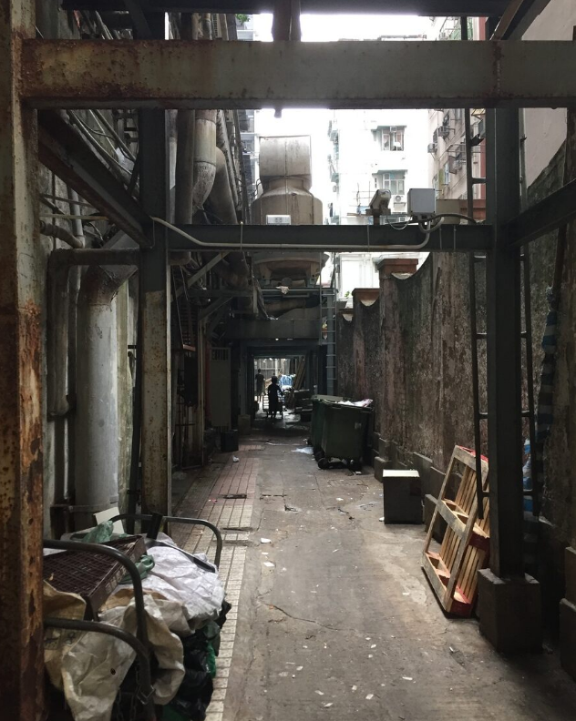 Не до конца Колун, потому что кое где еще видно небо