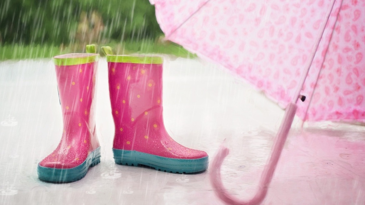     Источник: pxhere.com