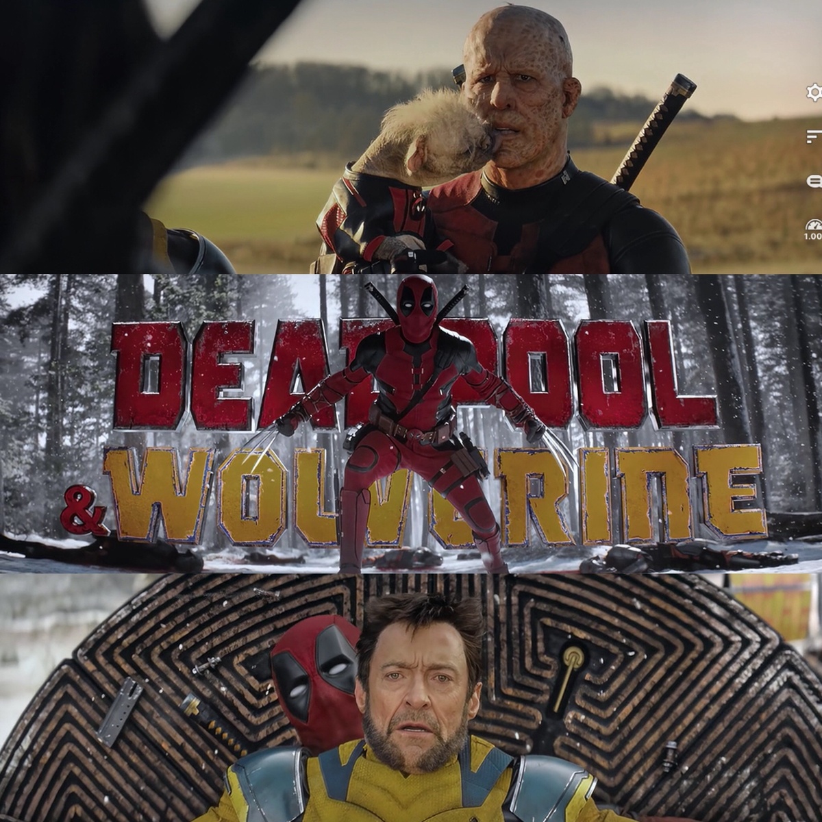 Название на иноземном языке