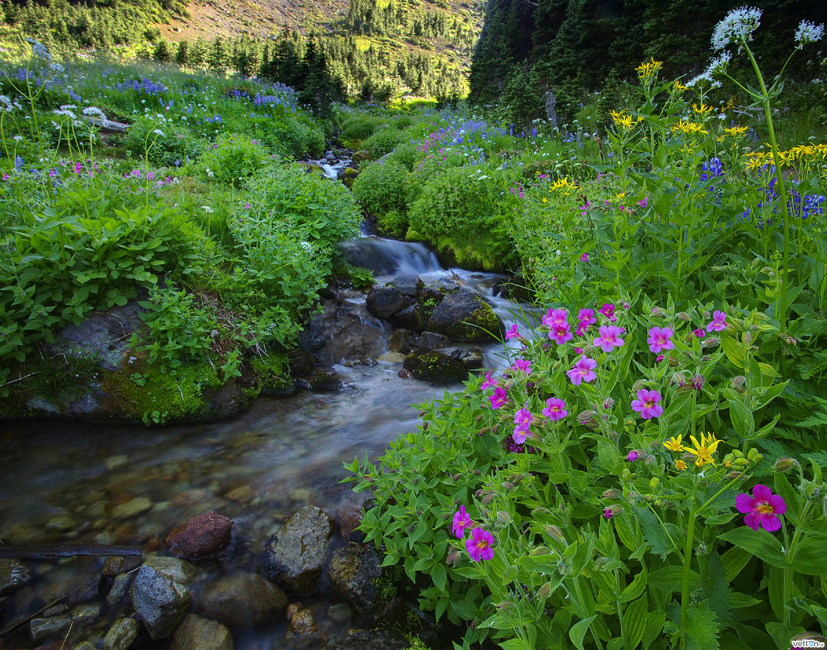жить становилось трудней
