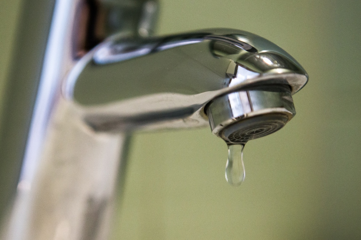 Яндекс Картинки