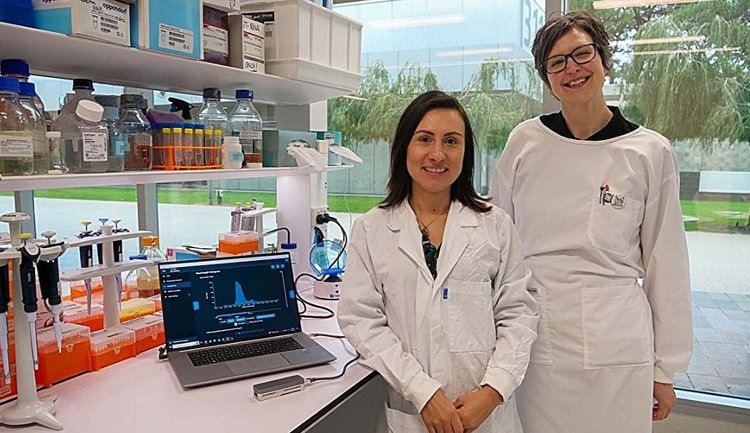    Определены новые инструменты для обнаружения устойчивости патогенов к фунгицидам