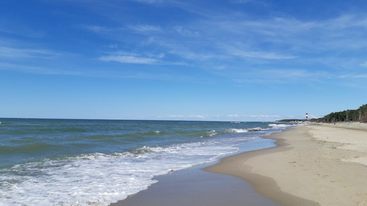     Источник: vostokmedia.com