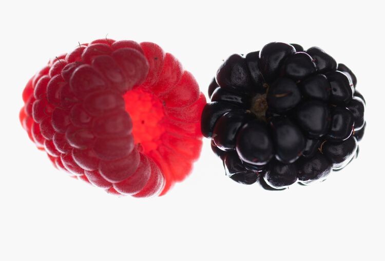 Малина и ежевика