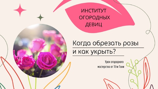 Когда обрезать РОЗЫ? И как укрыть?