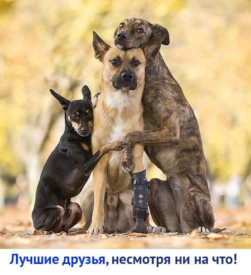 (фотография из интернета)