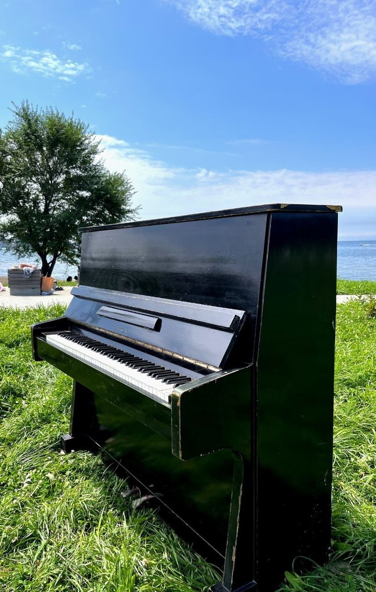     Источник: vl_publicspaces