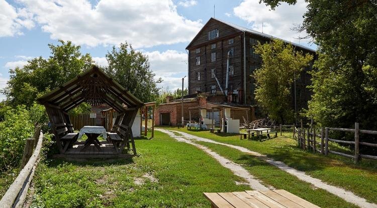 Фото: Елена Журавлёва