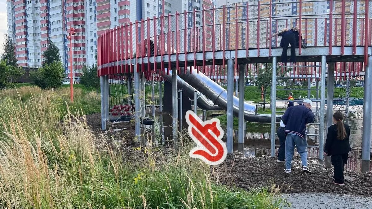     Источник: inkazan.ru