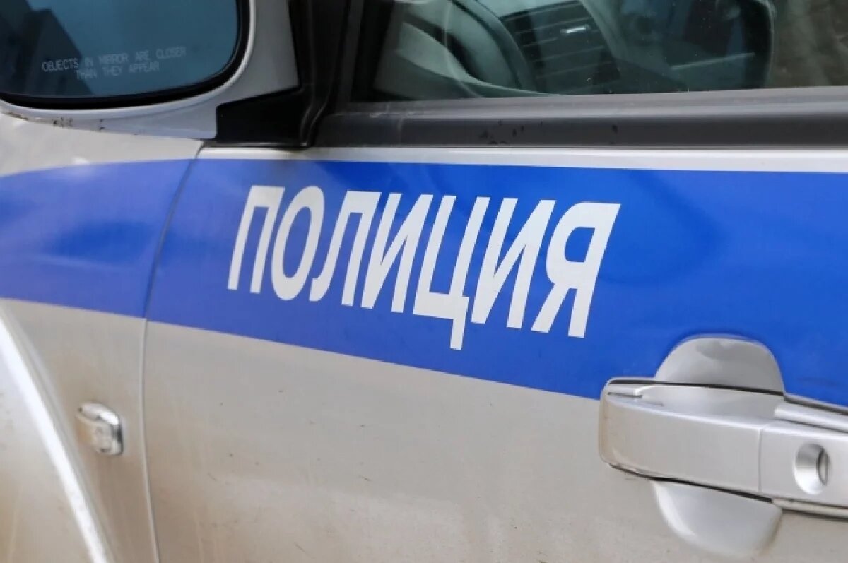   МВД: в Якутии школьник случайно ранил из ружья двоих подростков