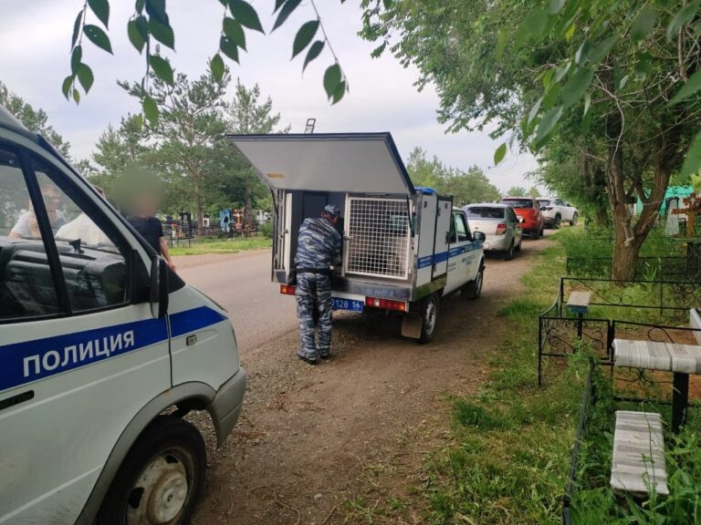    Грабеж на кладбище. В Оренбурге бомж напал на пенсионерку около могилок Белов Михаил Александрович