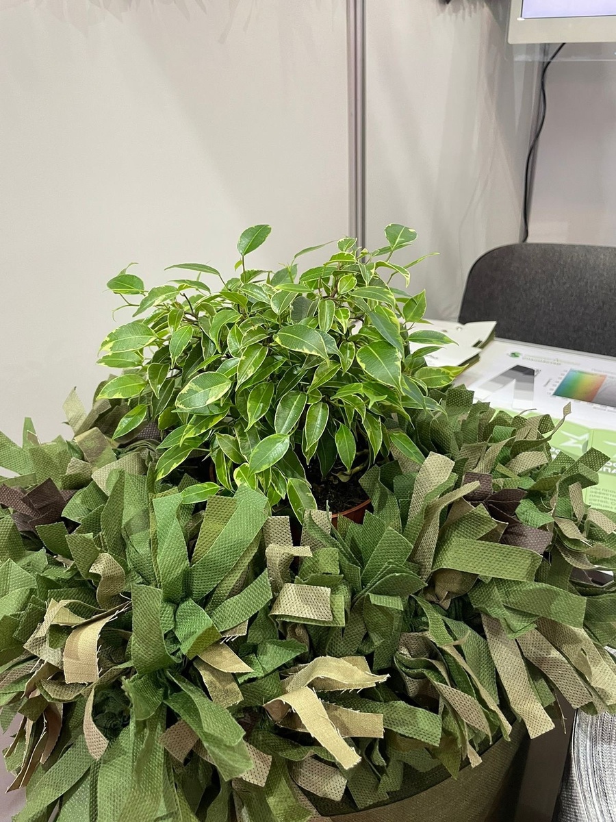 Вариант маскировки "СПЕКТРАСПАН"