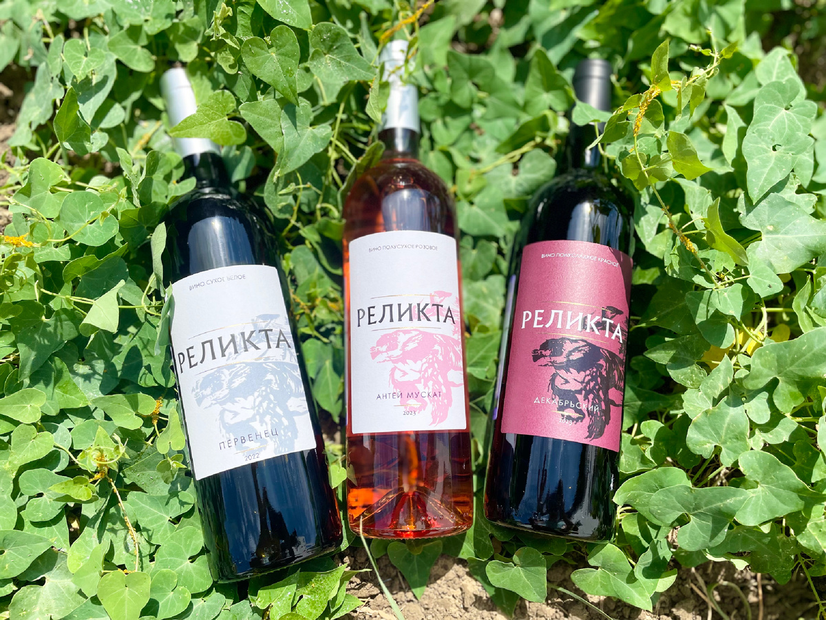 Одни из участников сегодняшнего обзора