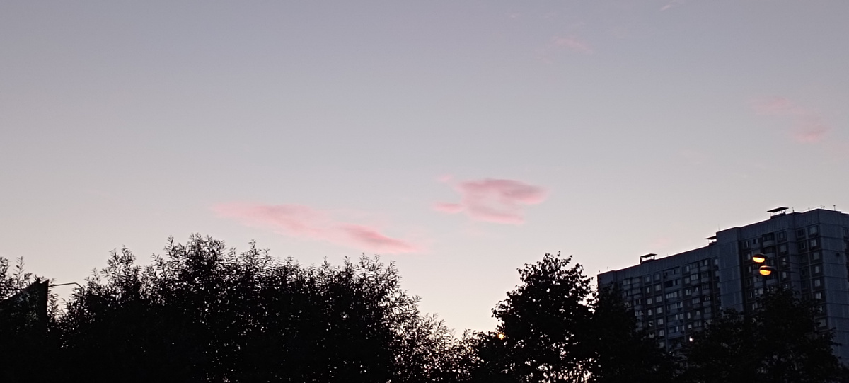 Мне приснилось небо августа ... Не приснилось, конечно же. Эту красоту я наяву видела. 14.08.2024 г, среда. ЗДЕСЬ и далее фото автора и(или) из личного архива автора, если не указано иначе.