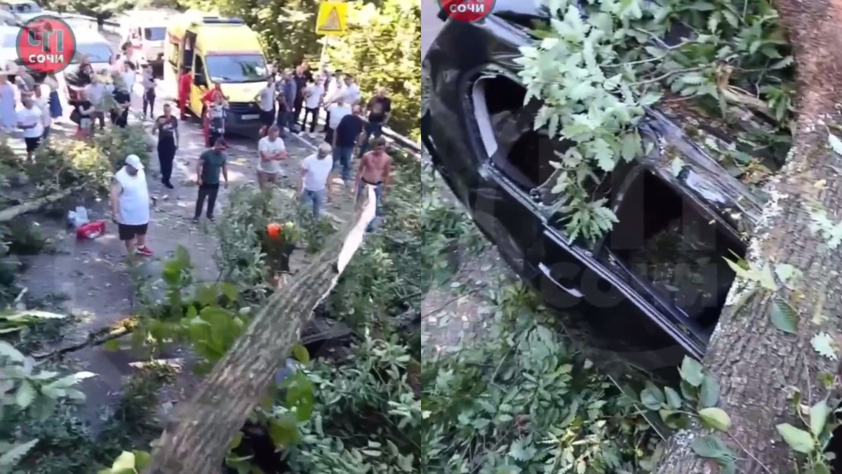    Фото: коллаж Telegram/ЧП Сочи