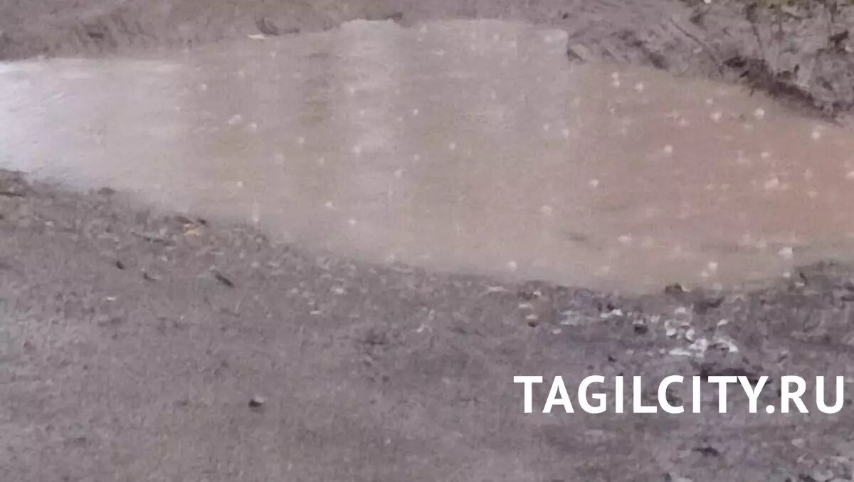     Источник: tagilcity.ru