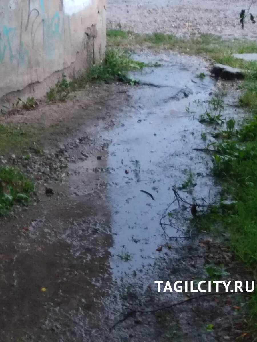     Источник: tagilcity.ru