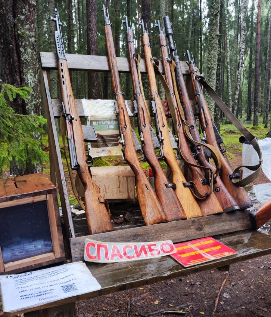 Винтовки Мосина, Маузер (винтовка) и др.