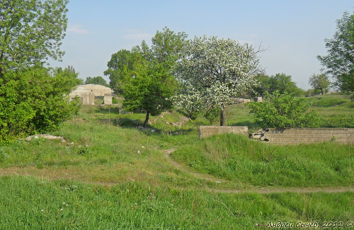 Фото 1, автор Андрей Сычев